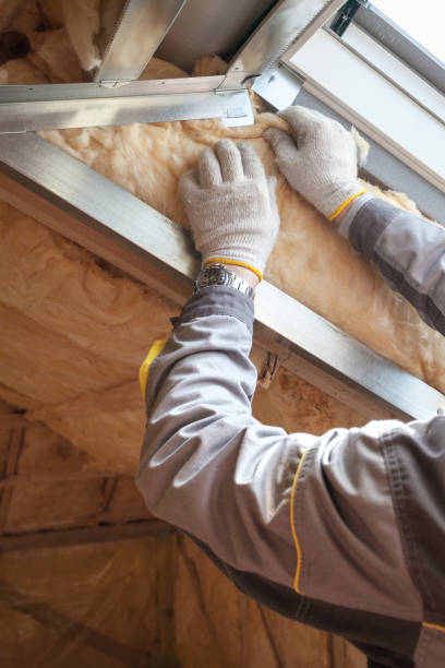Best Specialty Insulation in Leisure World, MD